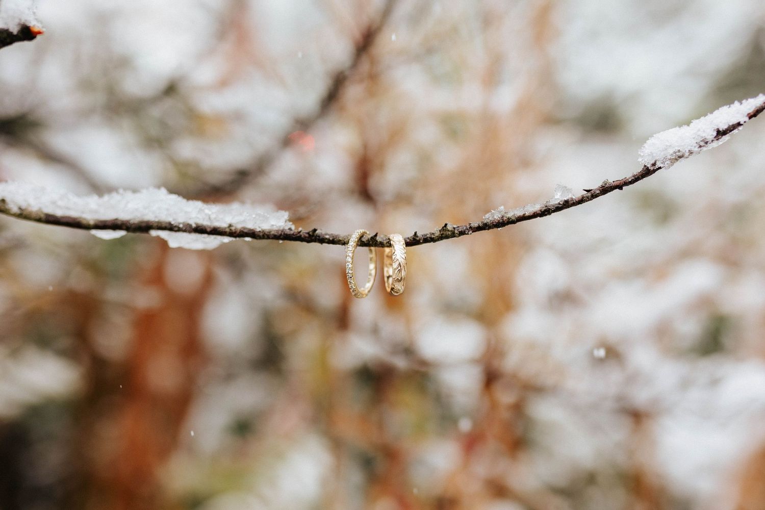 Gold wedding ring earrings hanging delicately from a snow-dusted tree branch in winter.