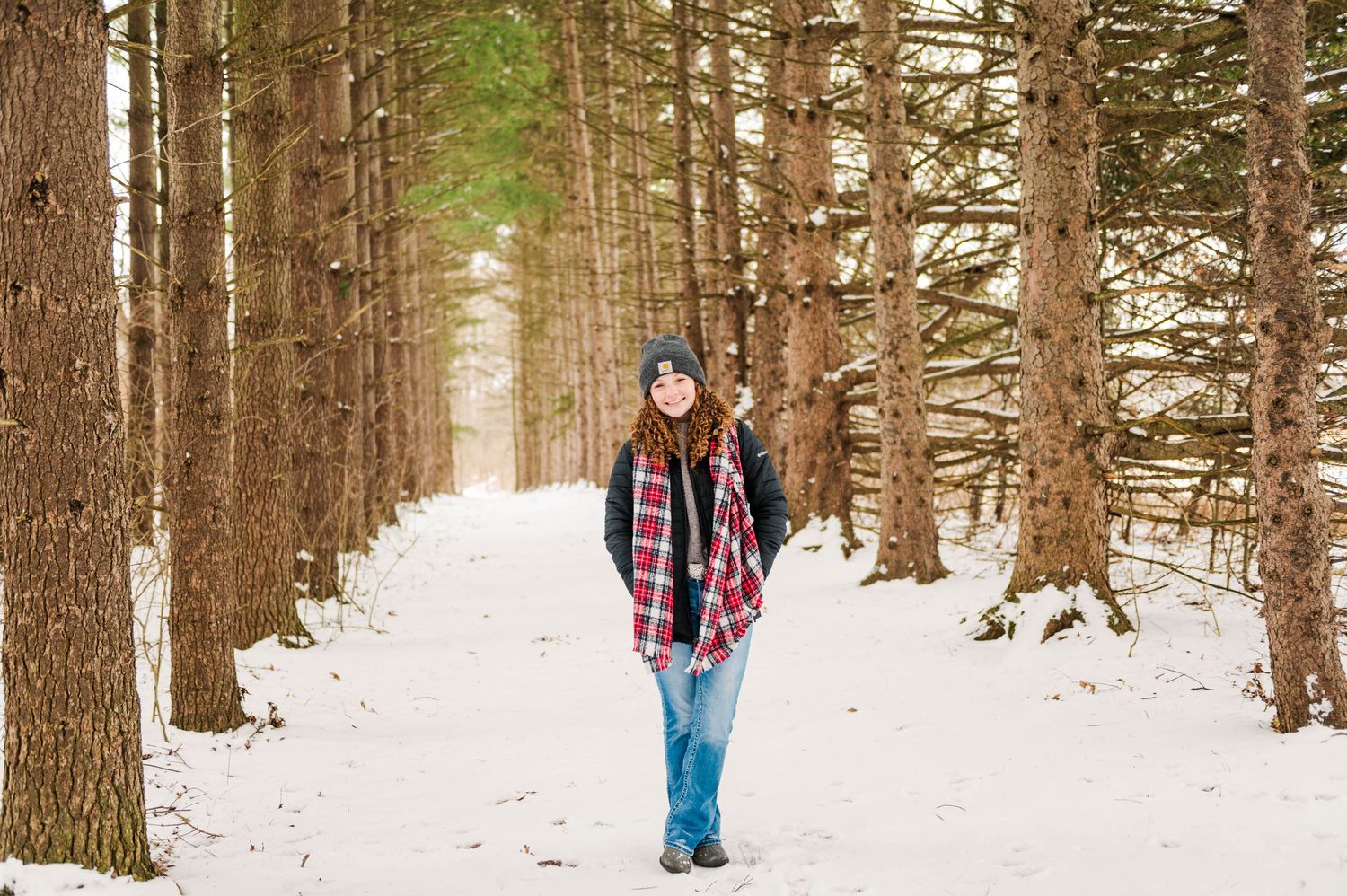 Minimalist winter forest scene with snow-covered ground and tall pine trees.