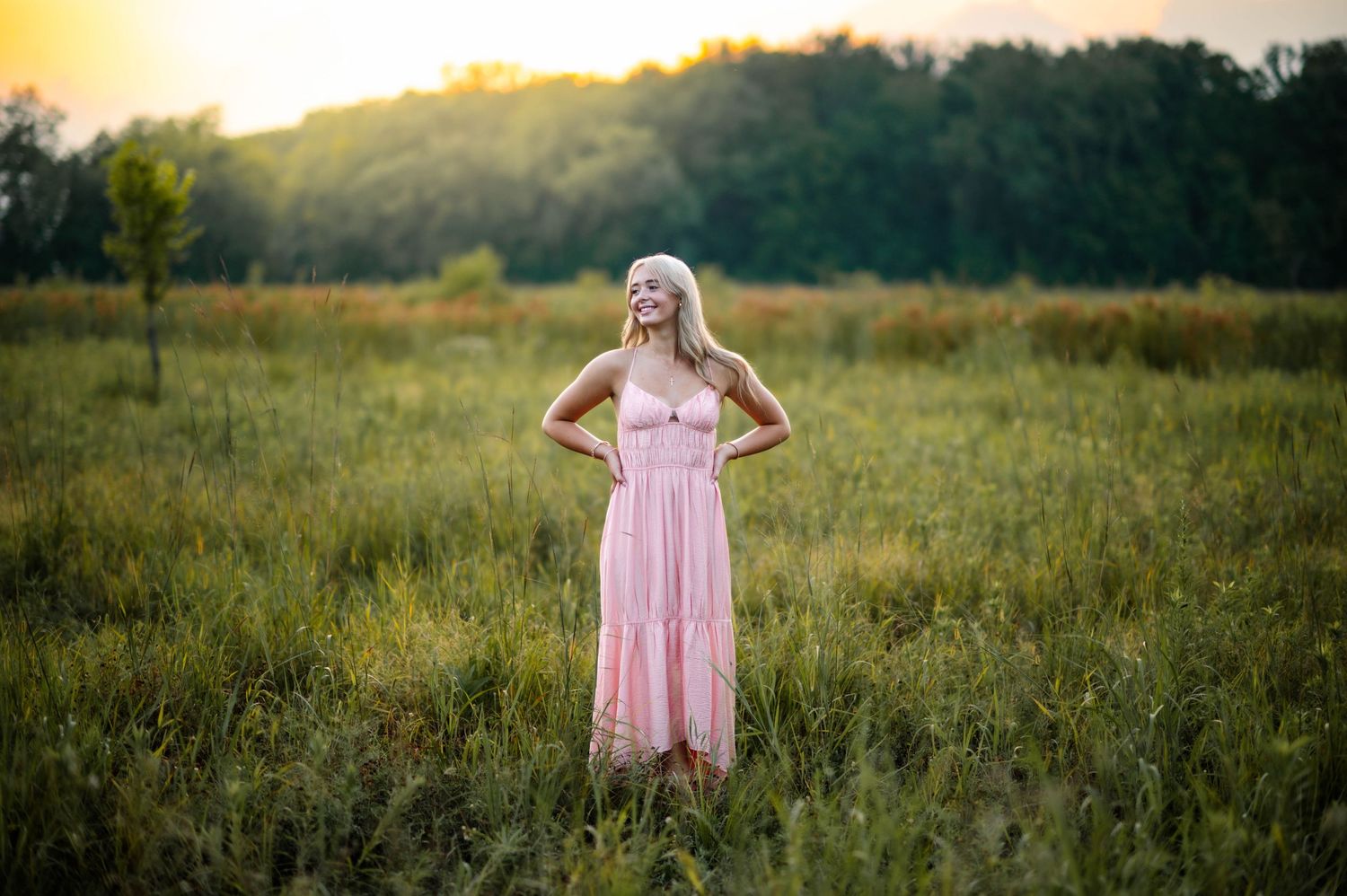 A series of sunset photos in a grassy meadow with golden light and a pink dress visible throughout the sequence.