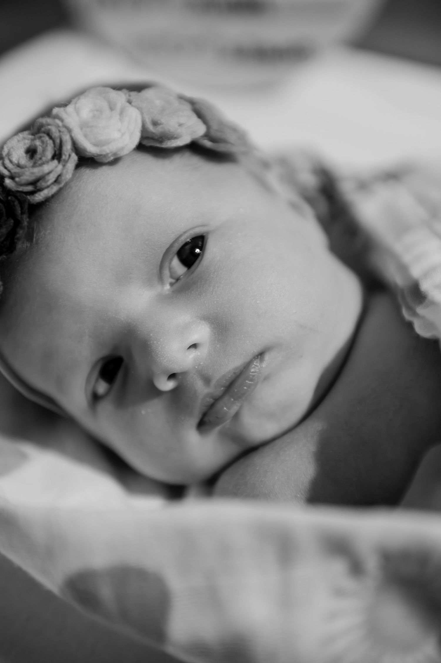 Artistic black and white close-up portrait of a newborn wearing a floral headband.