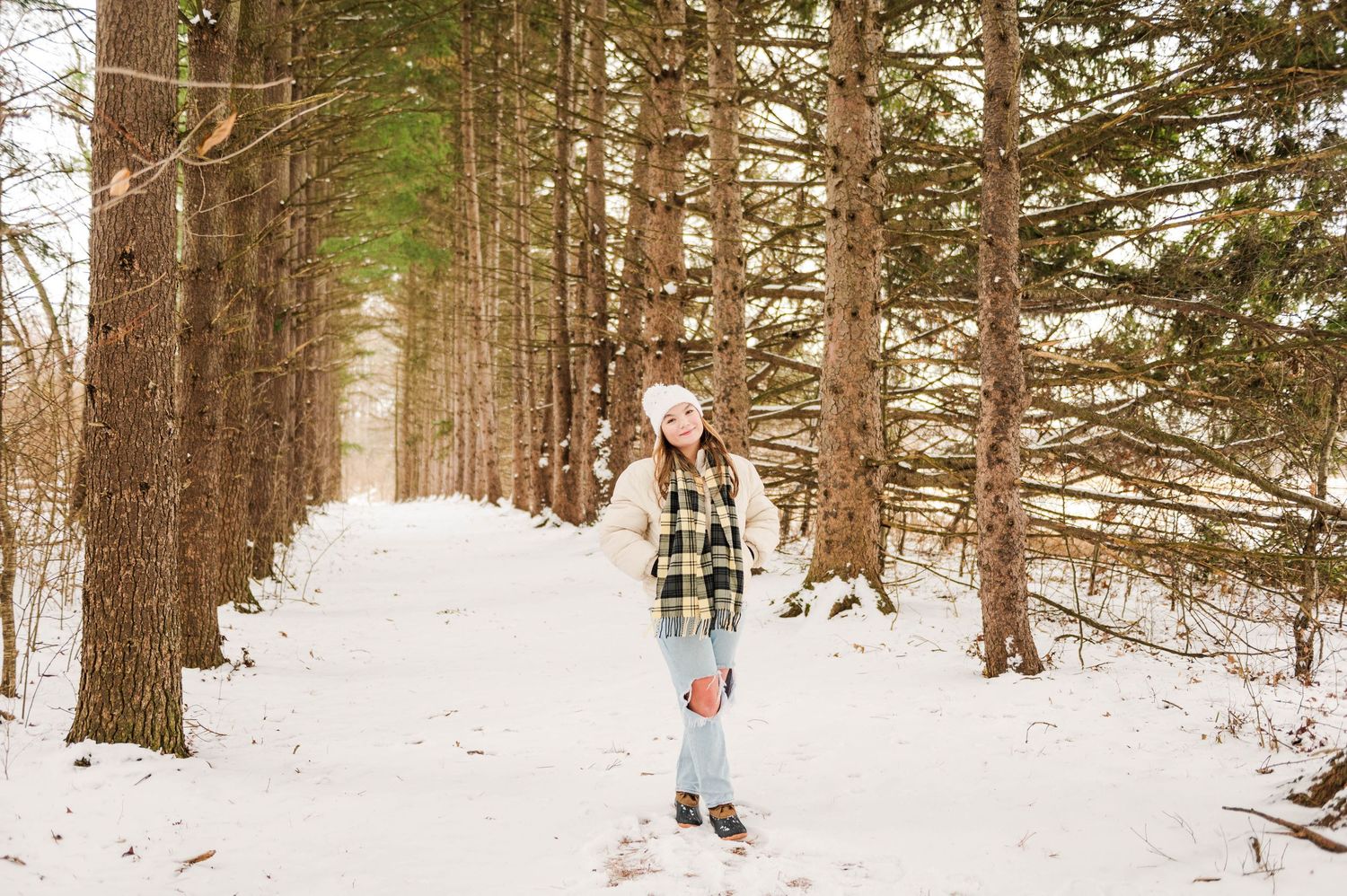 Winter forest scene with snow-covered ground and tall pine trees.
