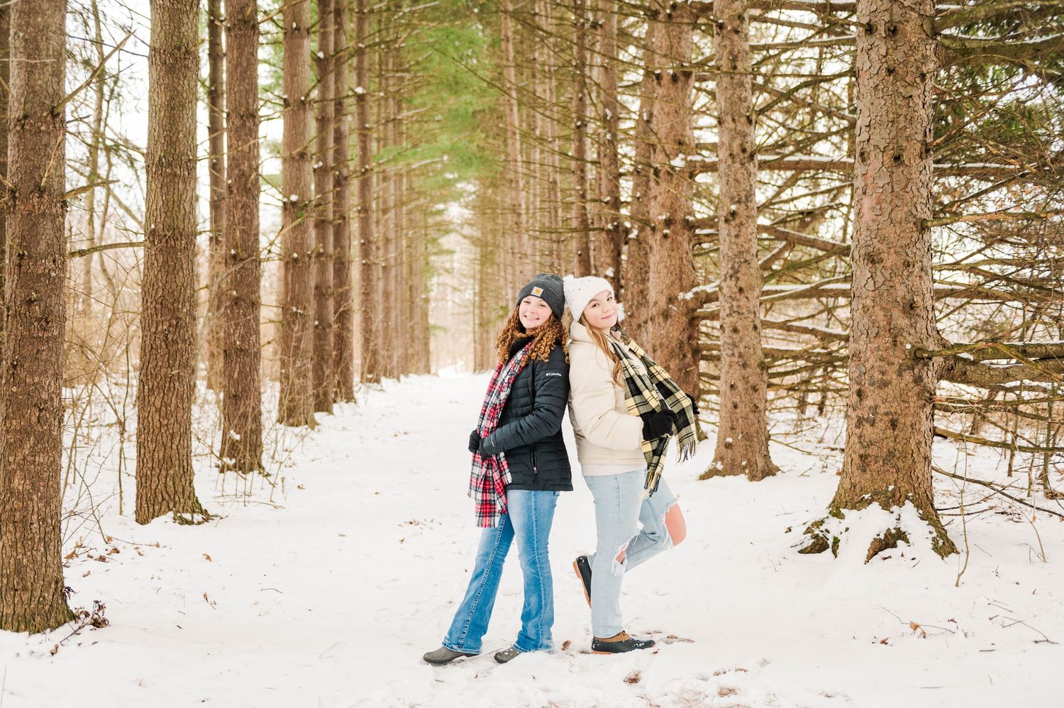Snow-covered forest path with people walking among tall pine trees.
