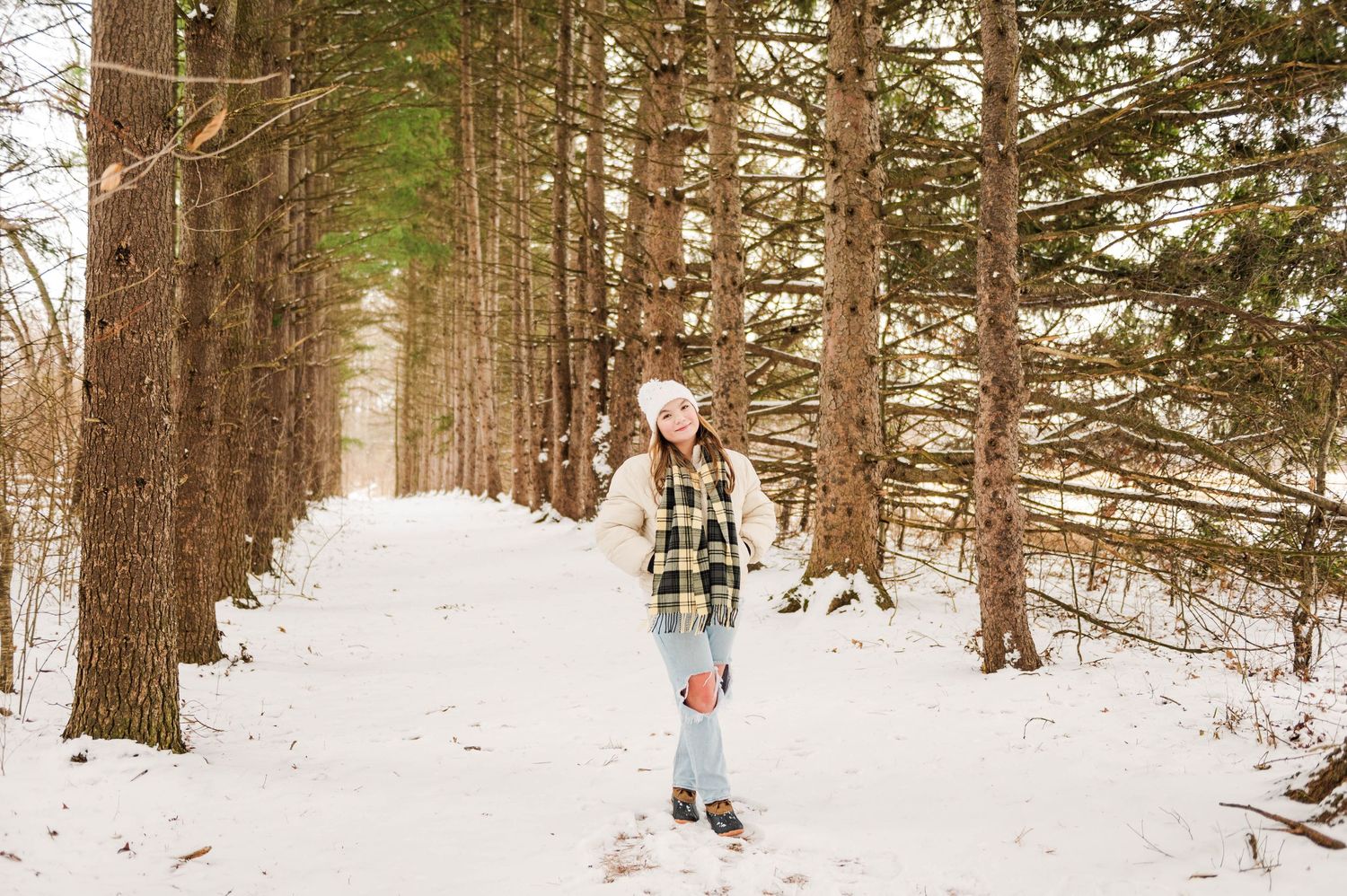 Snow-covered forest trail with pine trees creating natural corridor.