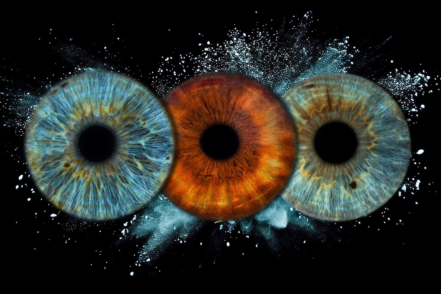High-resolution iris photography artwork in Utah