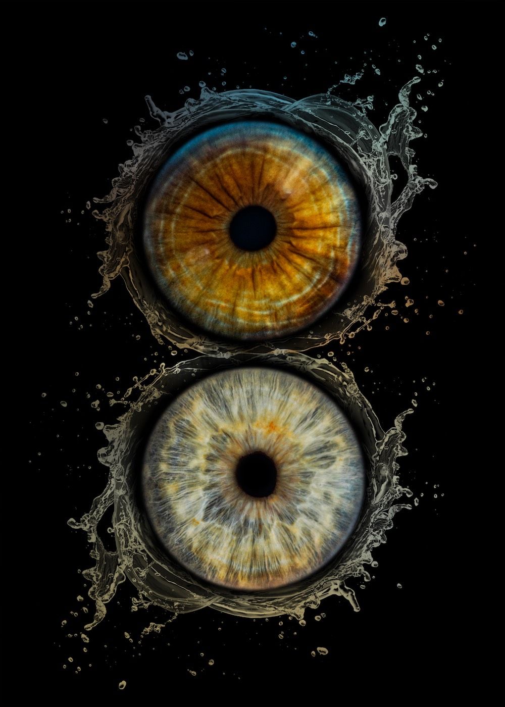 Two-eye iris photography Salt Lake City Utah