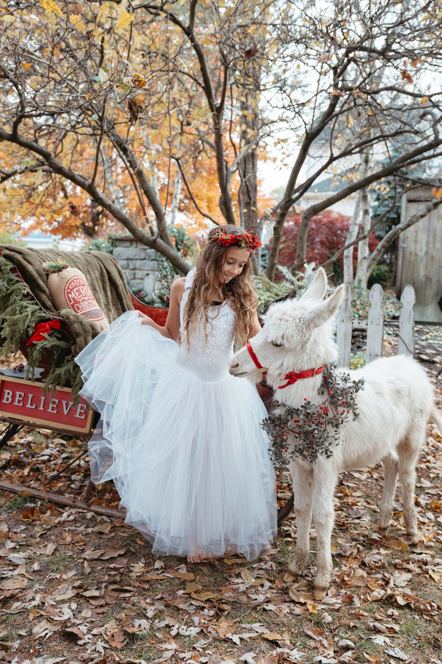 Kids and animal photographer cincinnati