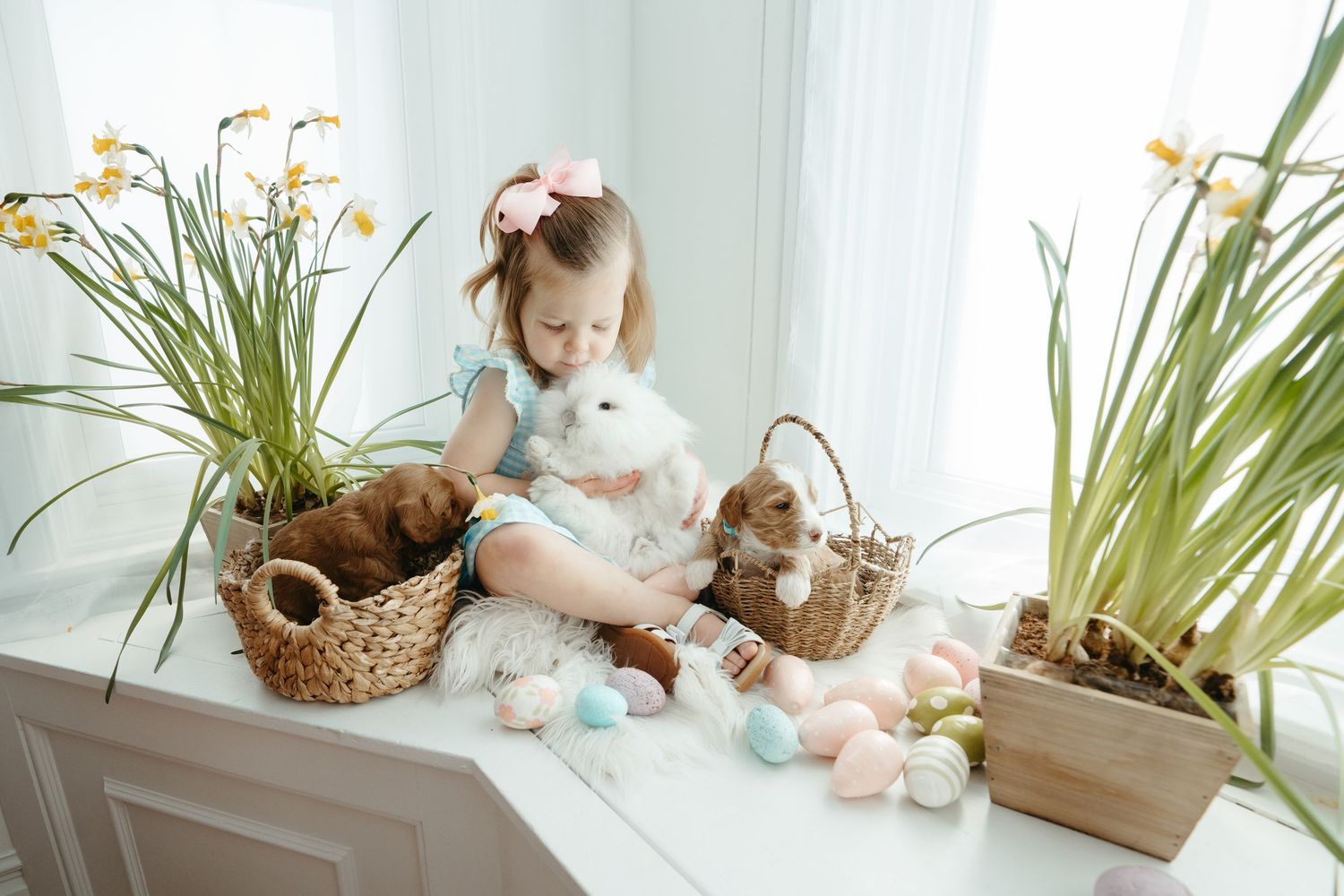 Children's photographer in Mason