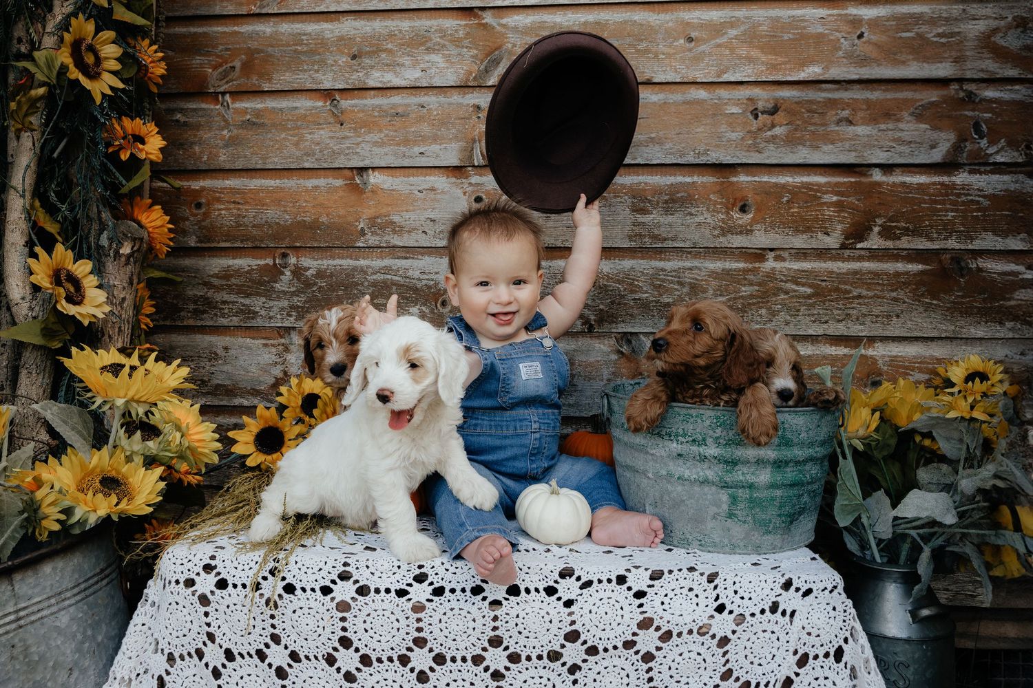 Childrens Photography Cincinnati