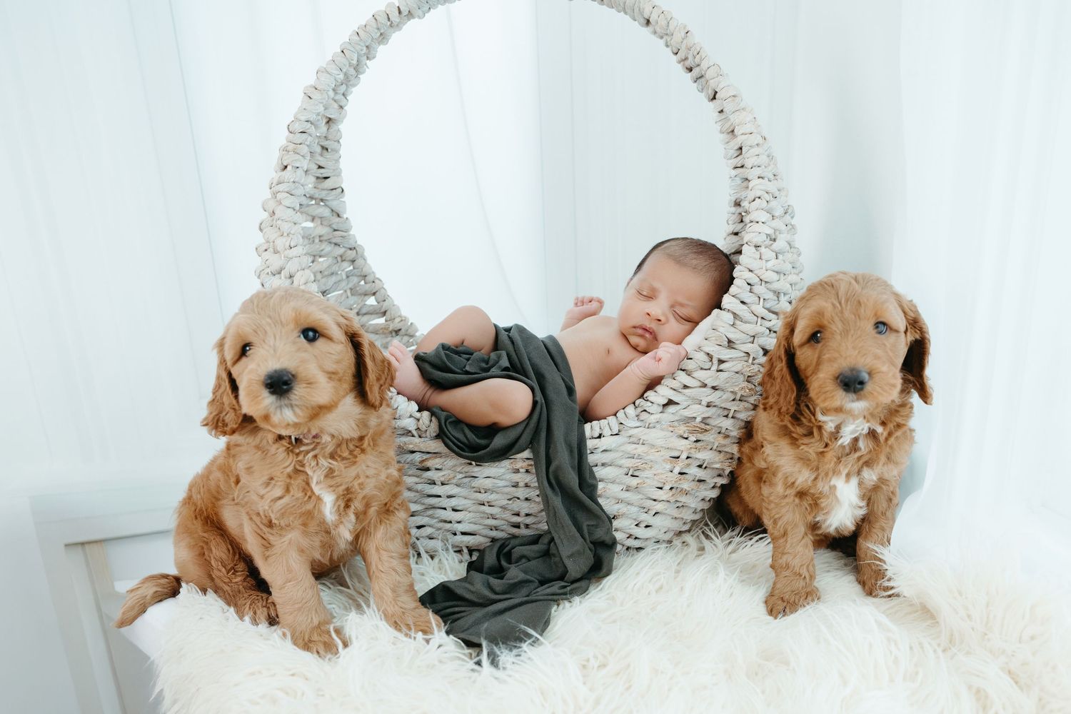 Cincinnati Newborn Photography