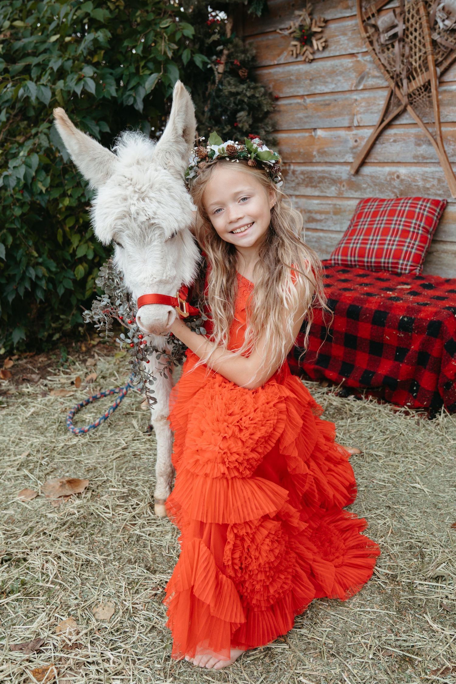 Kids and animal photographer cincinnati
