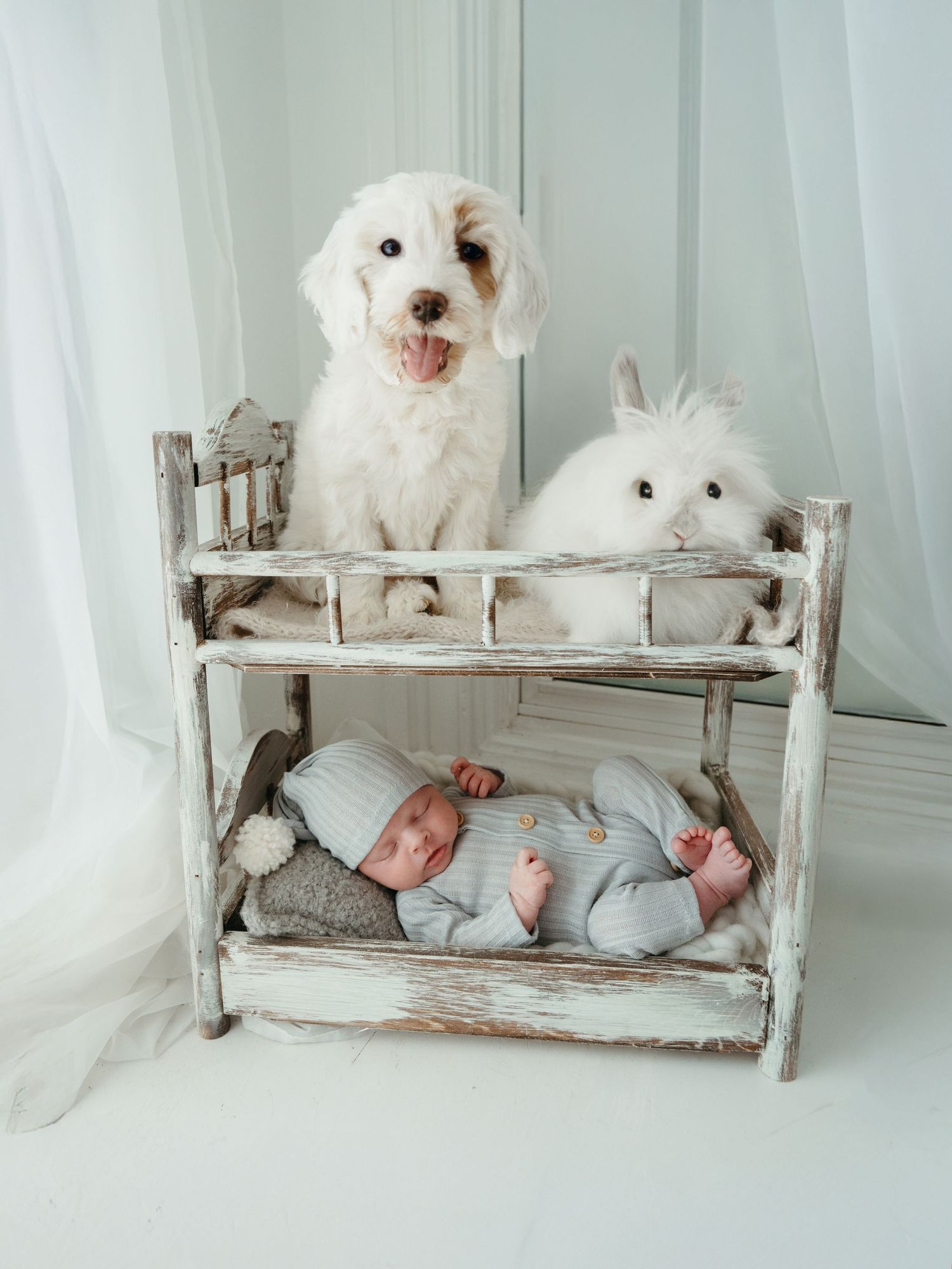 Newborn Photographer Cincinnati