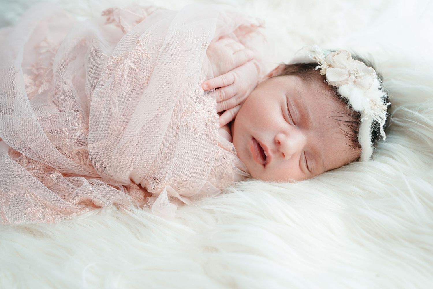 Cincinnati Newborn Photography