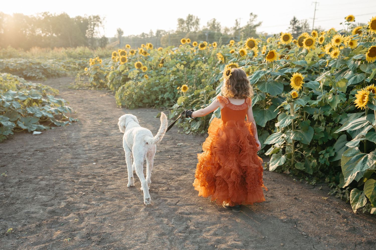 Child photography in Mason
