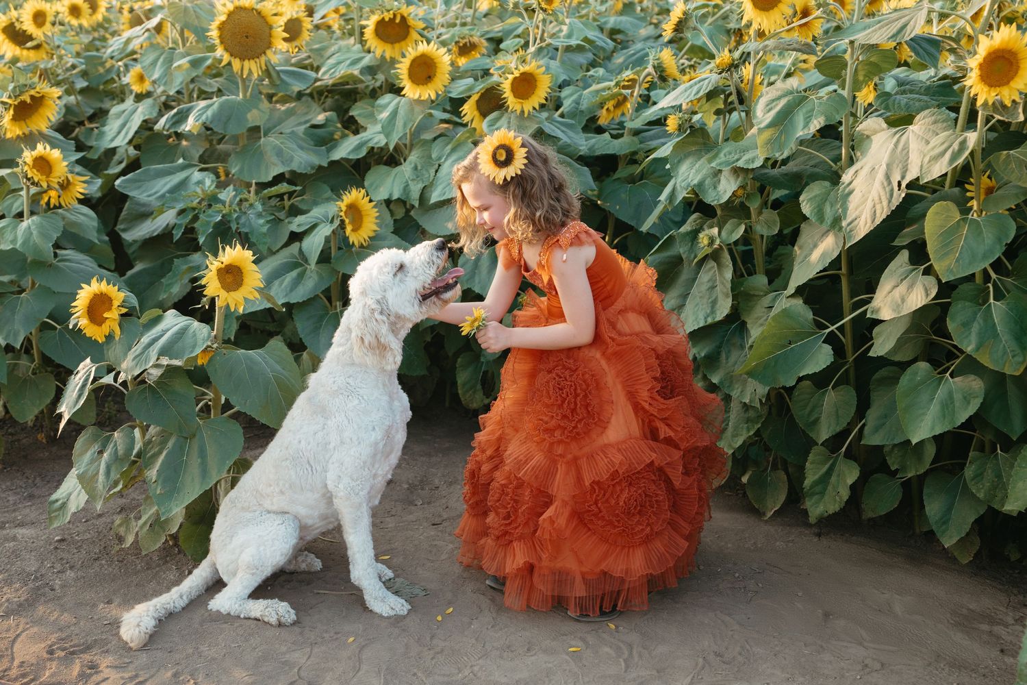 Photographer in Mason, Ohio