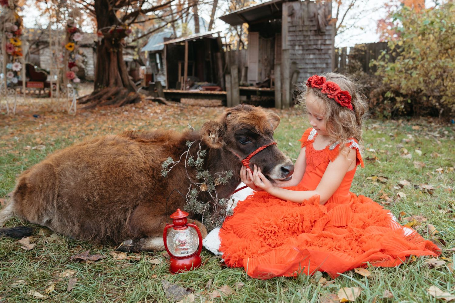 Kids and animal photographer cincinnati