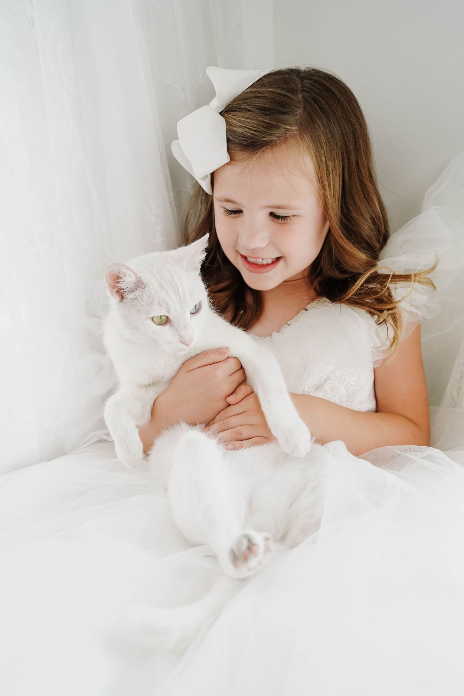 Animal Photographer Cincinnati