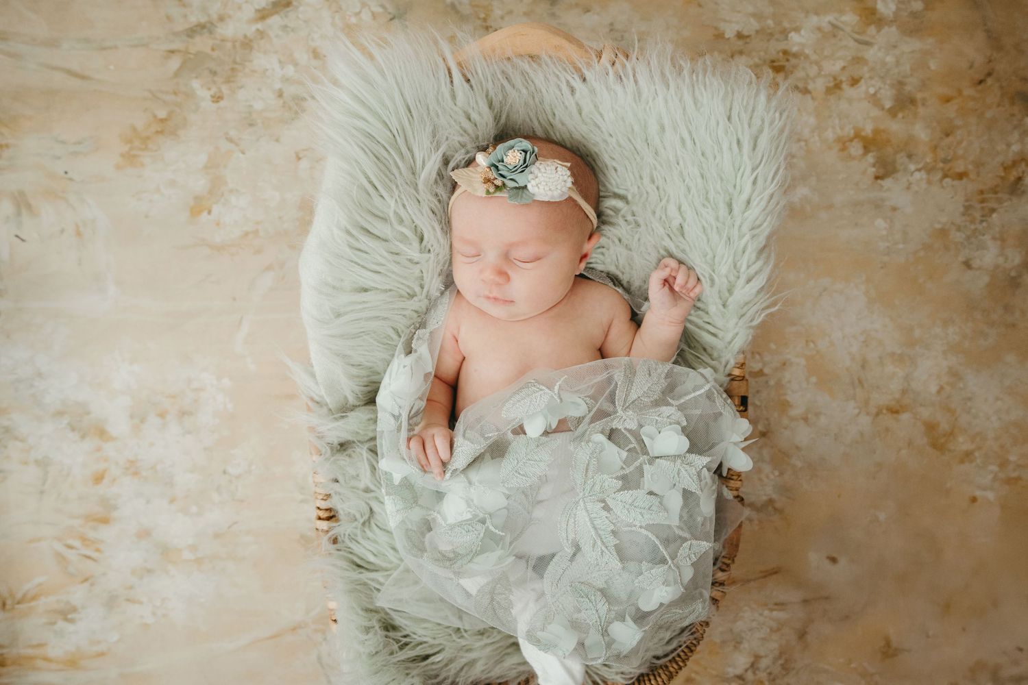Newborn Photographer Cincinnati