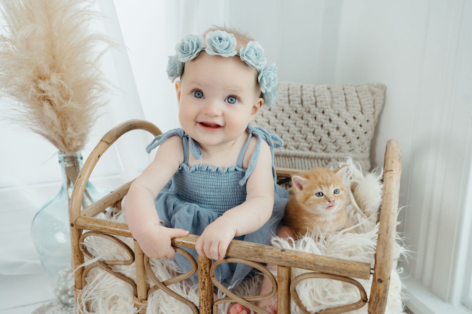 Kids and animal photographer cincinnati