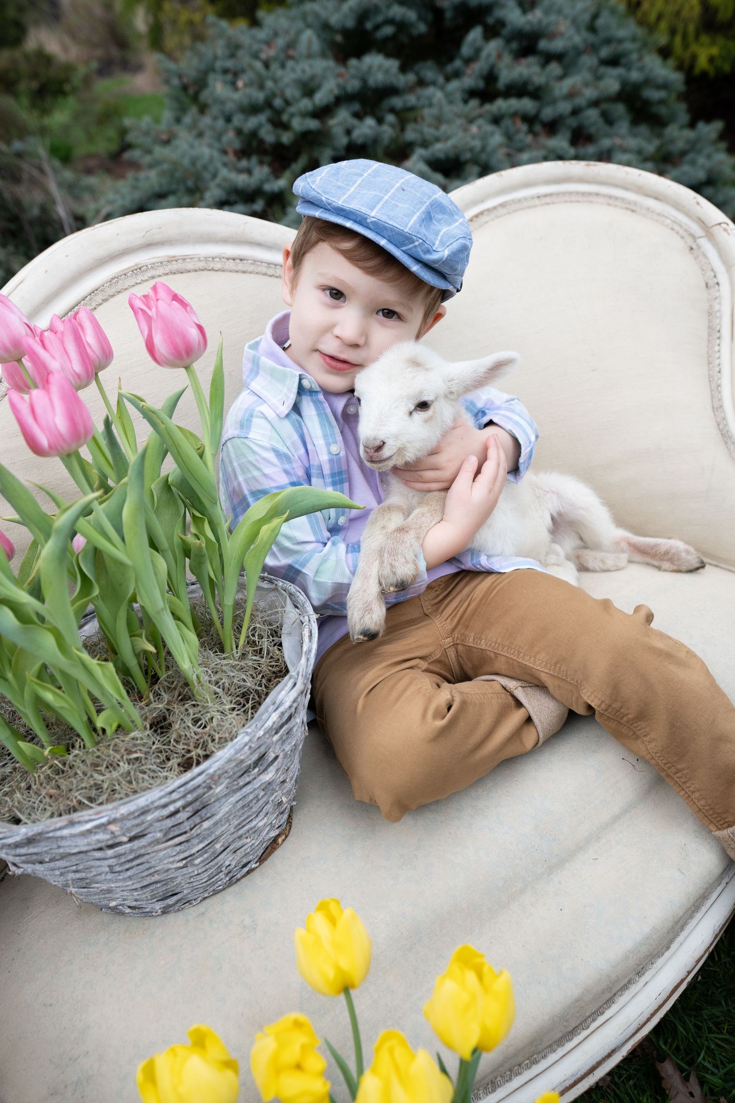 Animal Photographer Cincinnati