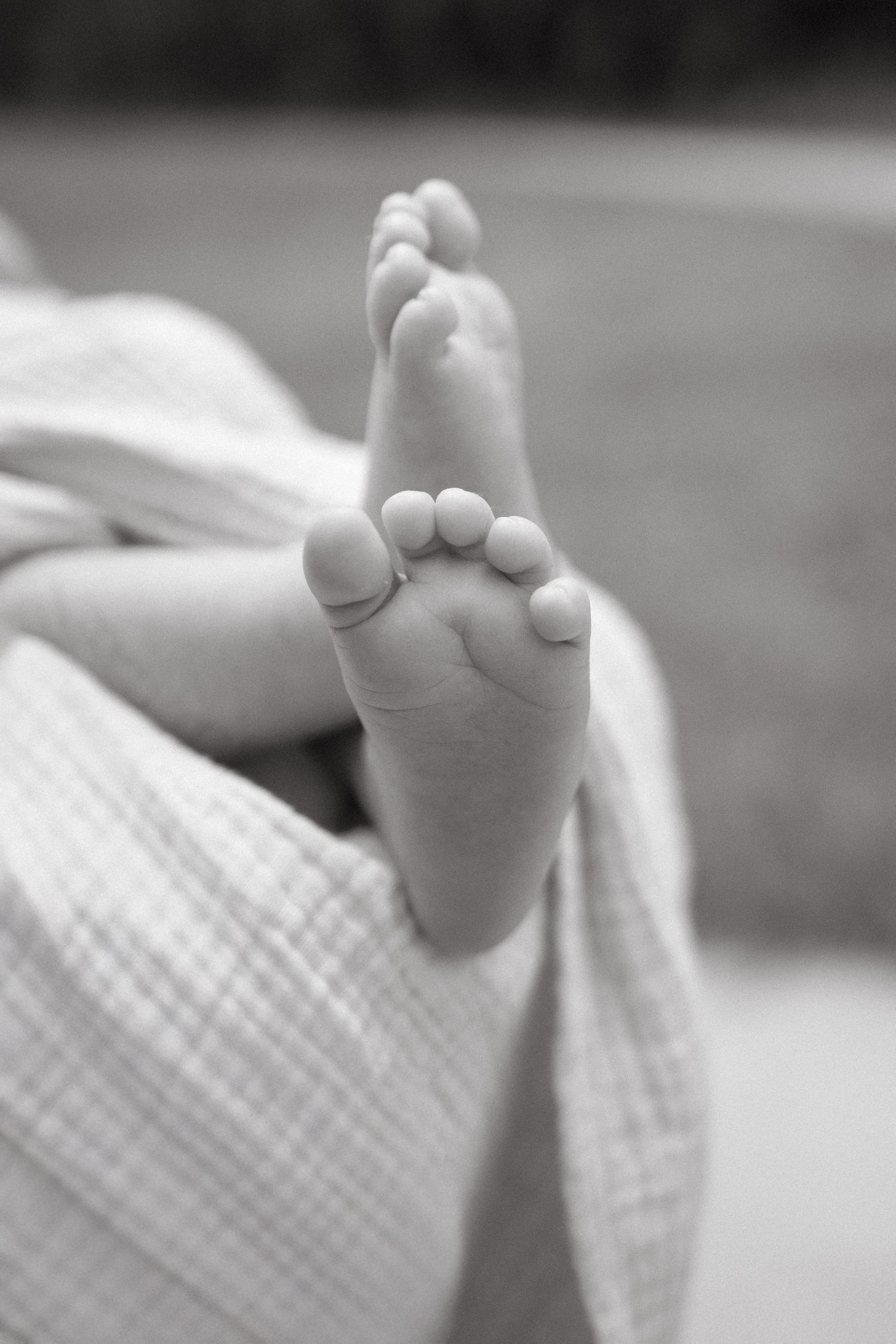 Cincinnati Family Photographer