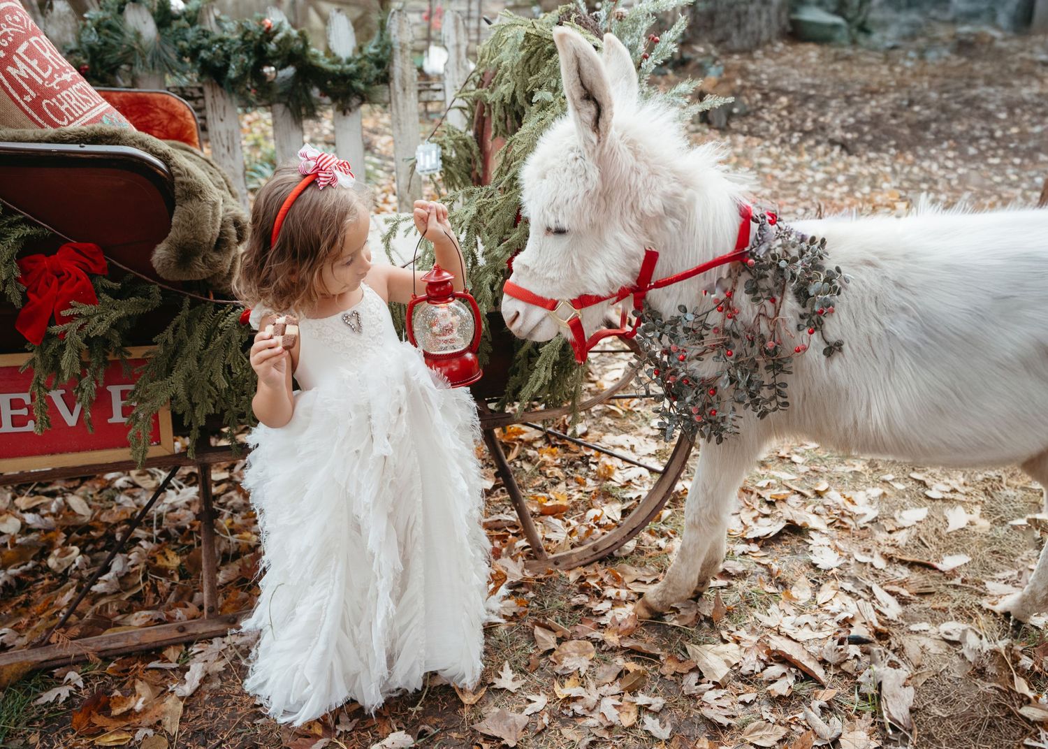 Kids and animal photographer cincinnati