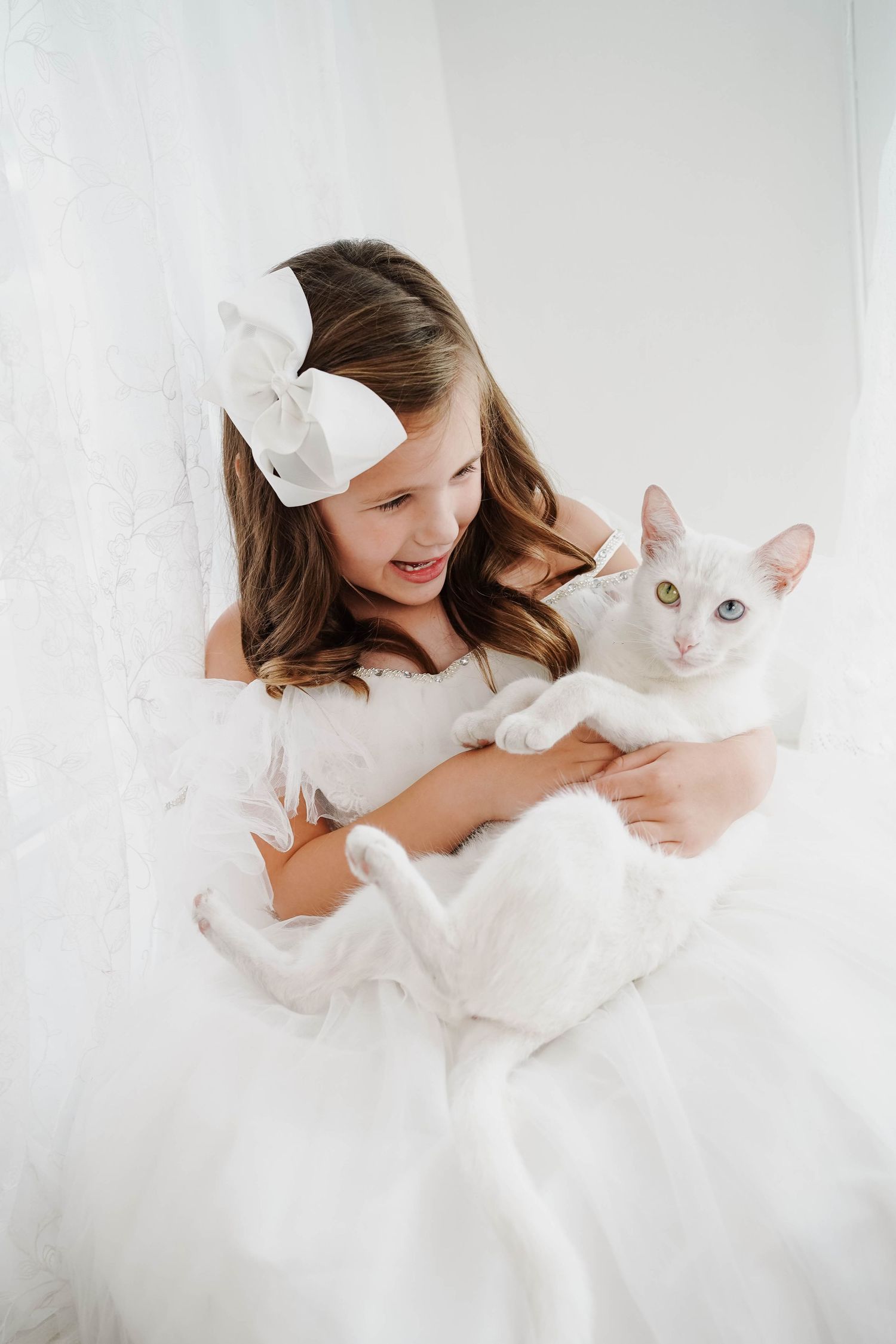 Animal Photographer Cincinnati