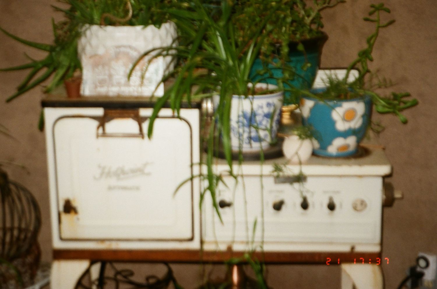 Decorative green plants cascade down from white shelves mounted on a beige wall in a modern home setting.