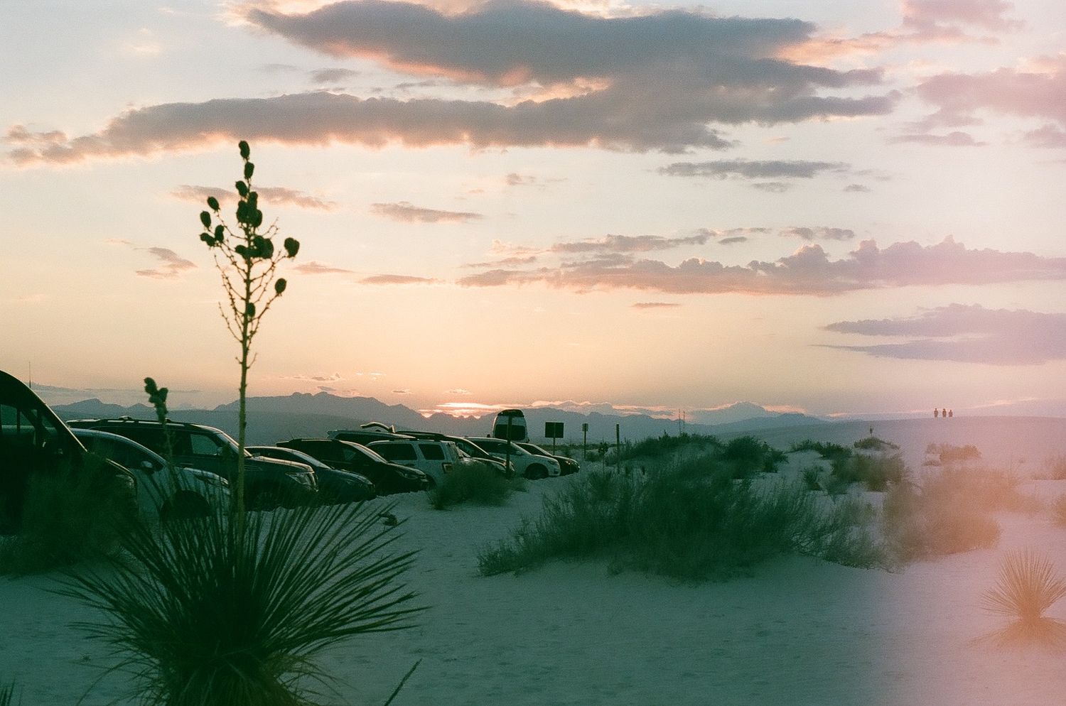 Stunning desert sunset with pink and purple clouds stretching across the horizon.
