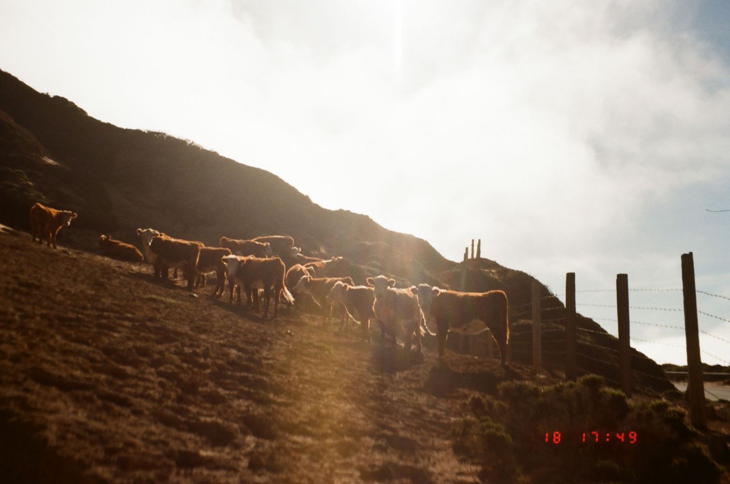 A panoramic sequence of mountain landscapes at sunset with wooden fence posts silhouetted against the golden sky.
