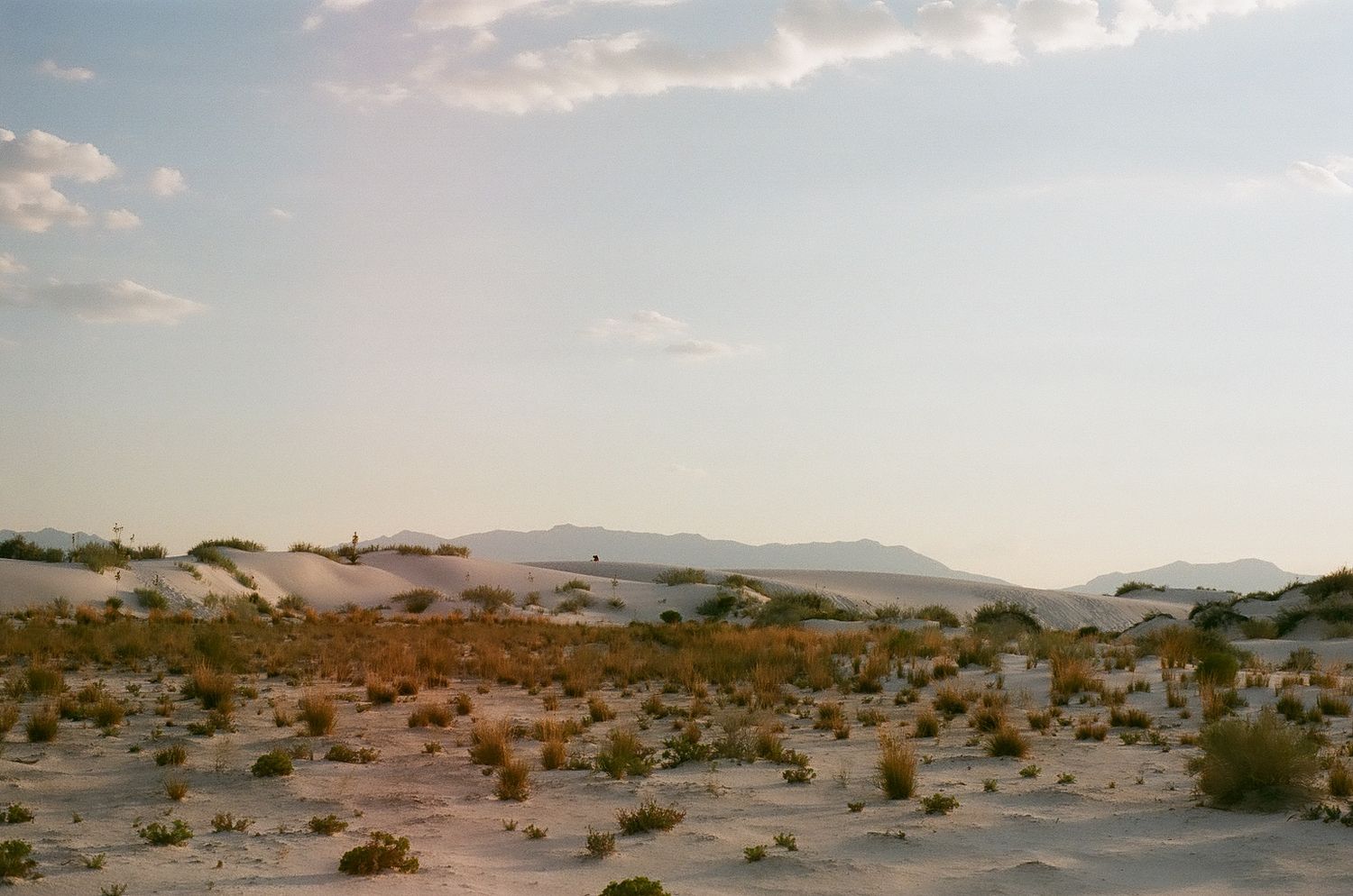 Panoramic desert landscape with rolling sand dunes and mountains in the distance under a cloudy sky.