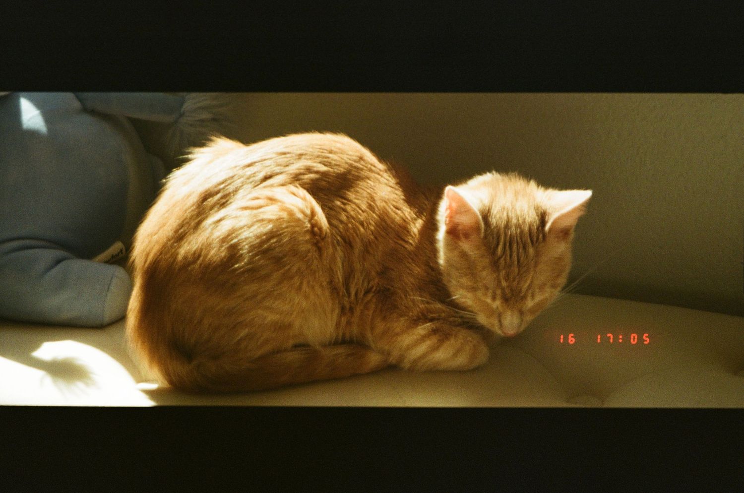 Orange cat sleeping peacefully in sunlight streaming through window creates cozy domestic scene.
