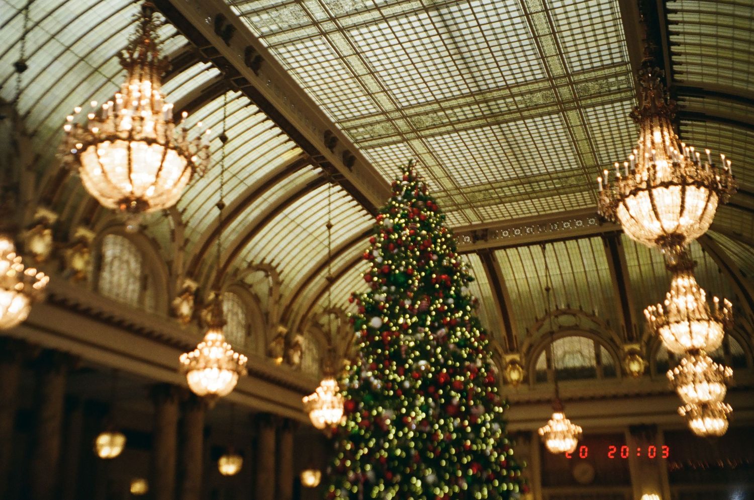 Elegant crystal chandeliers illuminate a glass-roofed conservatory decorated with Christmas trees and holiday decor.