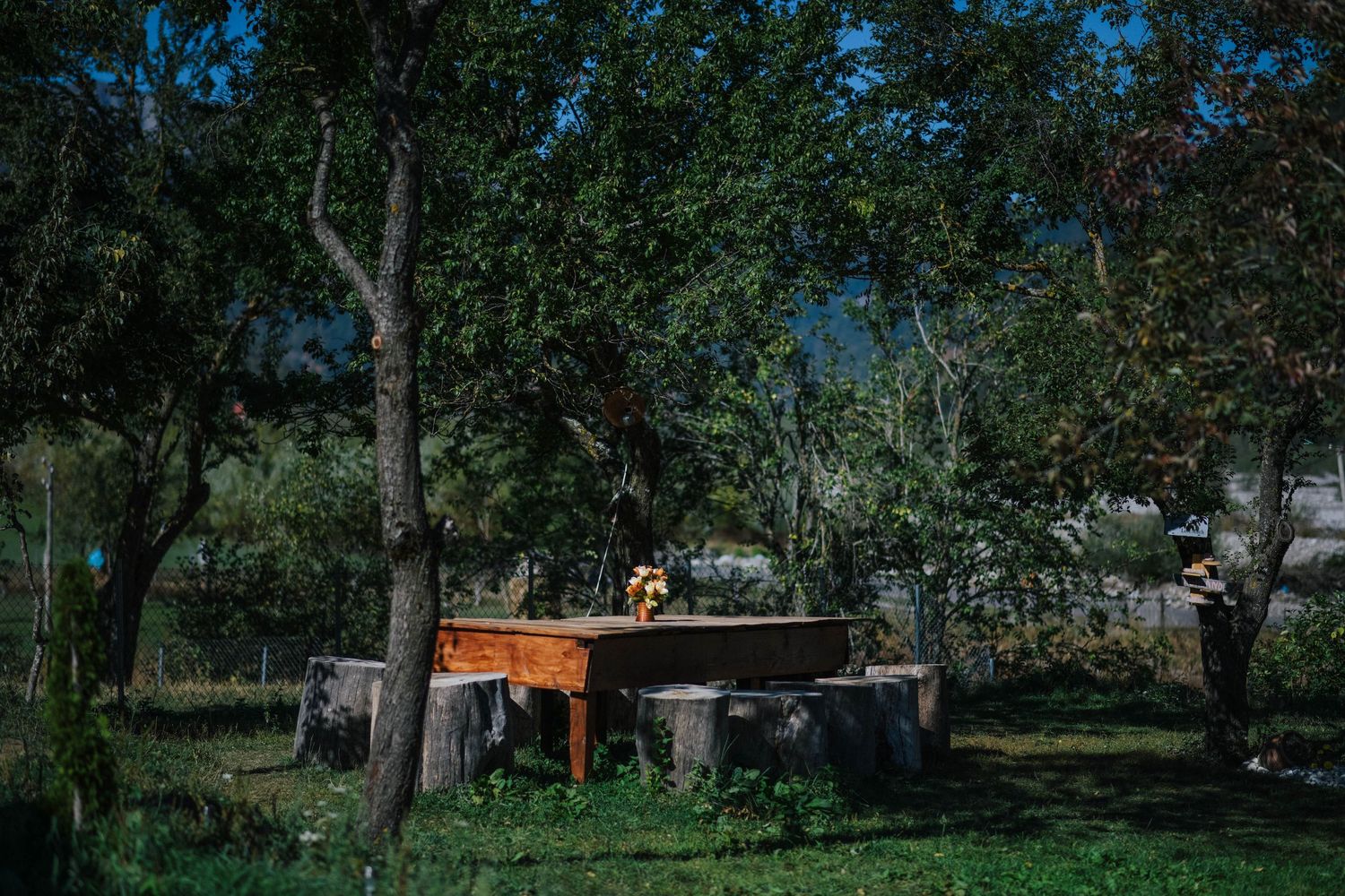 Panoramic view of a wooded park area with scattered trees and a small structure visible in the distance.