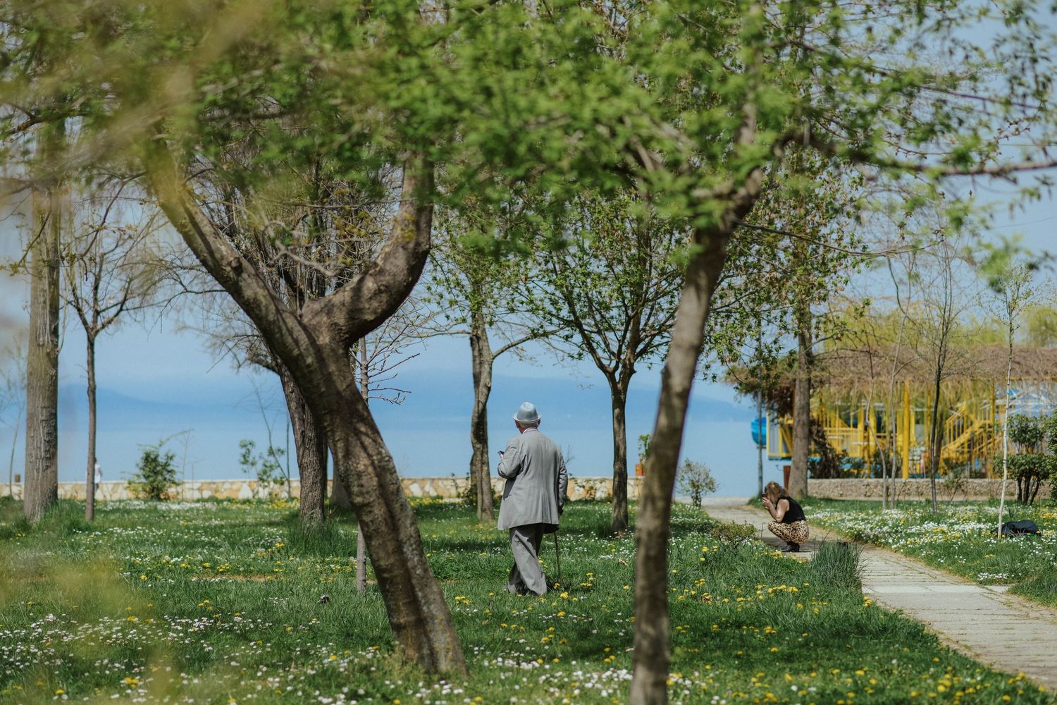 Spring landscape with blooming trees and winding paths in a public park on a sunny day.