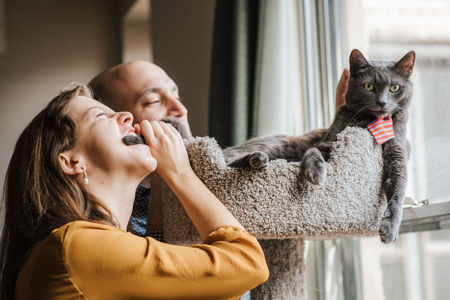 Series of candid shots showing a person playing with a grey cat by a window.