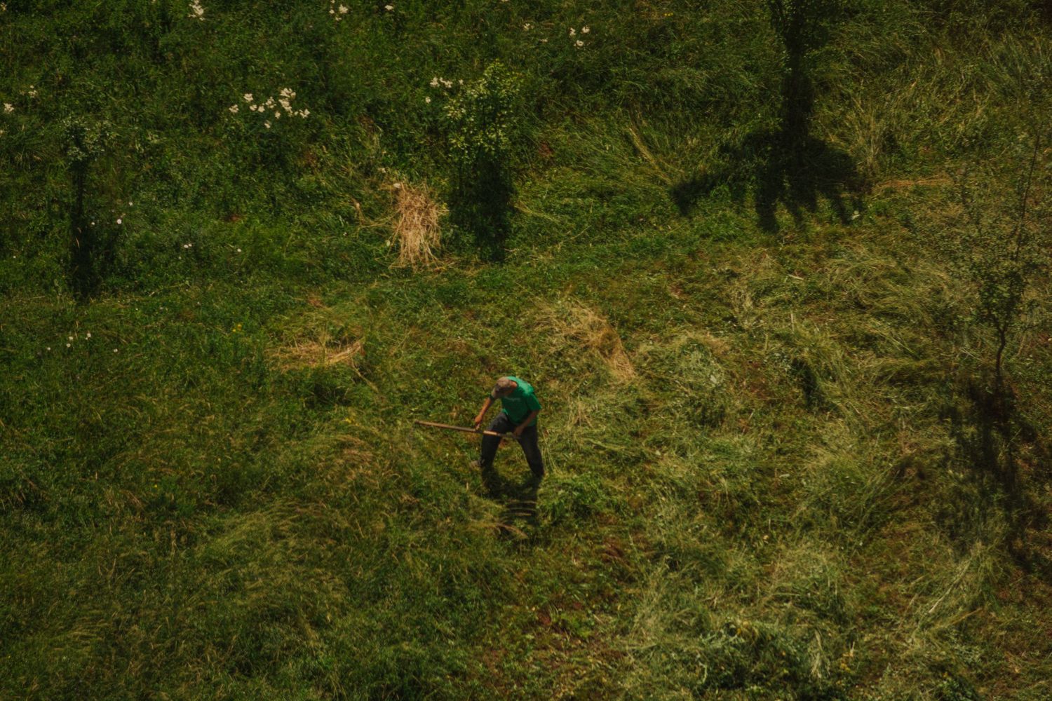 Aerial view of a farmer working in a lush green field surrounded by dense vegetation.