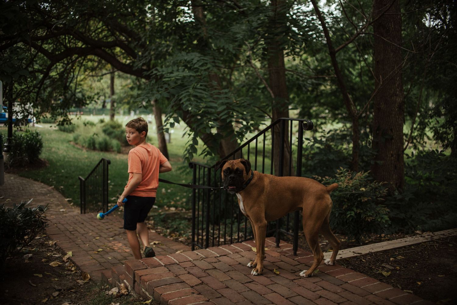 A series of photos showing a dog and boy walking along a wooded path in a park or nature trail.