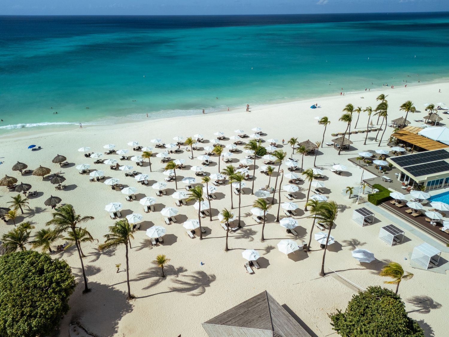 Aerial view of a tropical beach resort with palm trees, thatched umbrellas, white sand, and turquoise Caribbean waters.