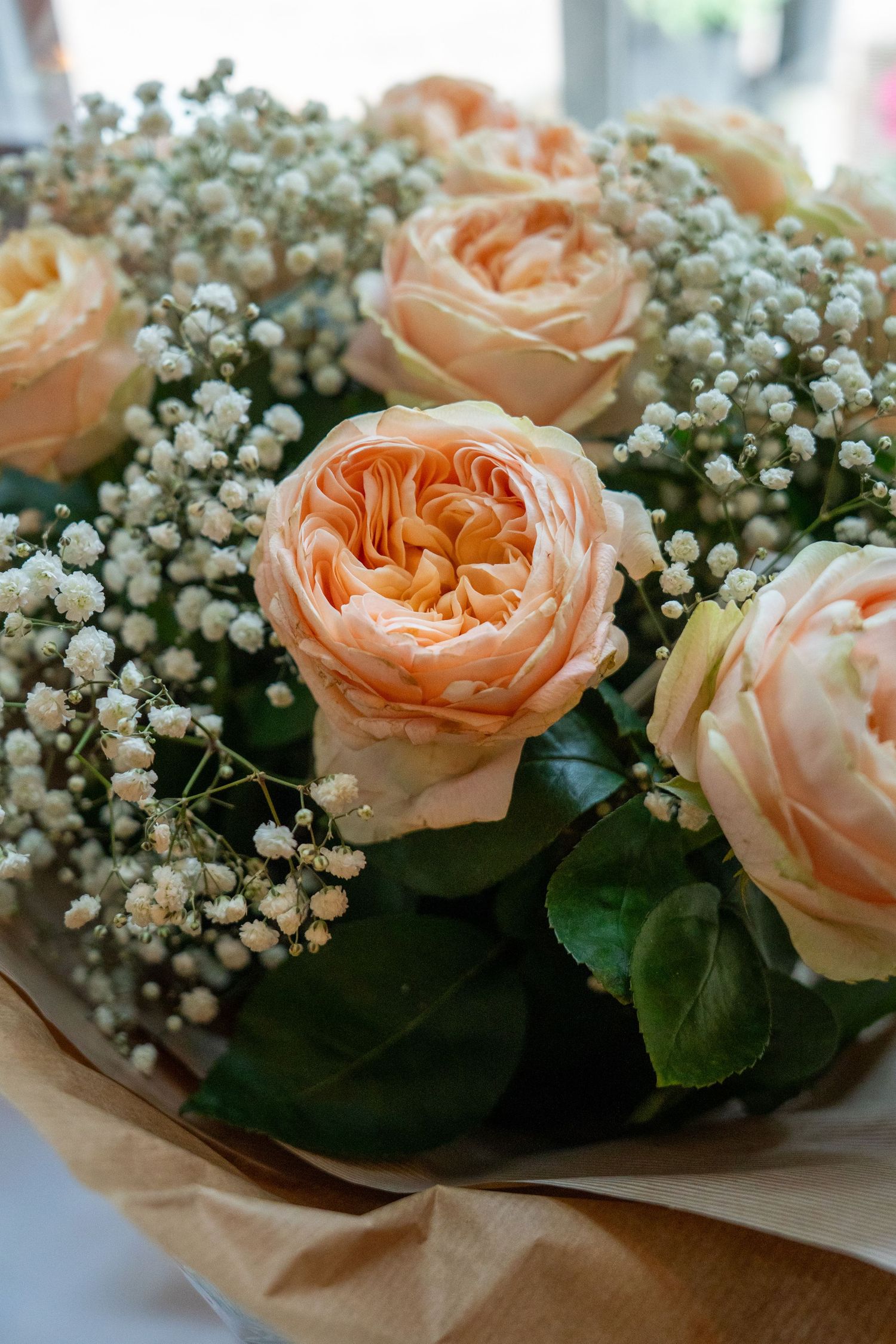 A close-up sequence of peach-colored garden roses arranged with delicate baby's breath flowers and green foliage.