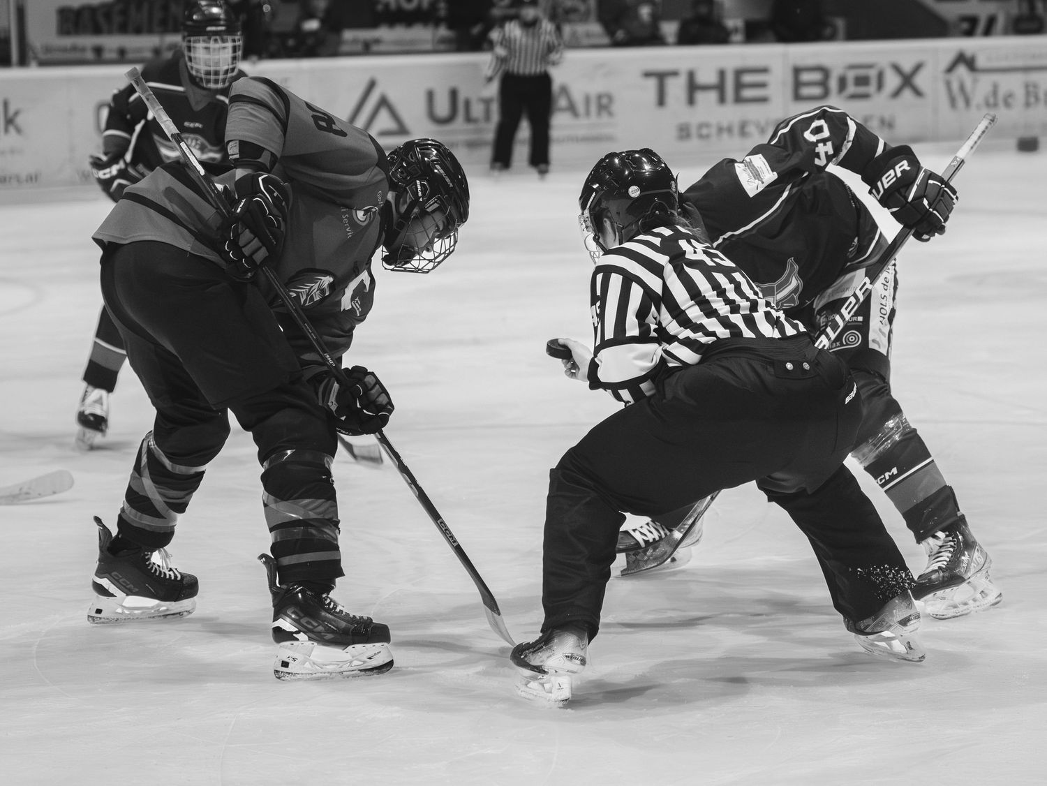 Ice hockey players battle for puck possession during an intense game on the rink.