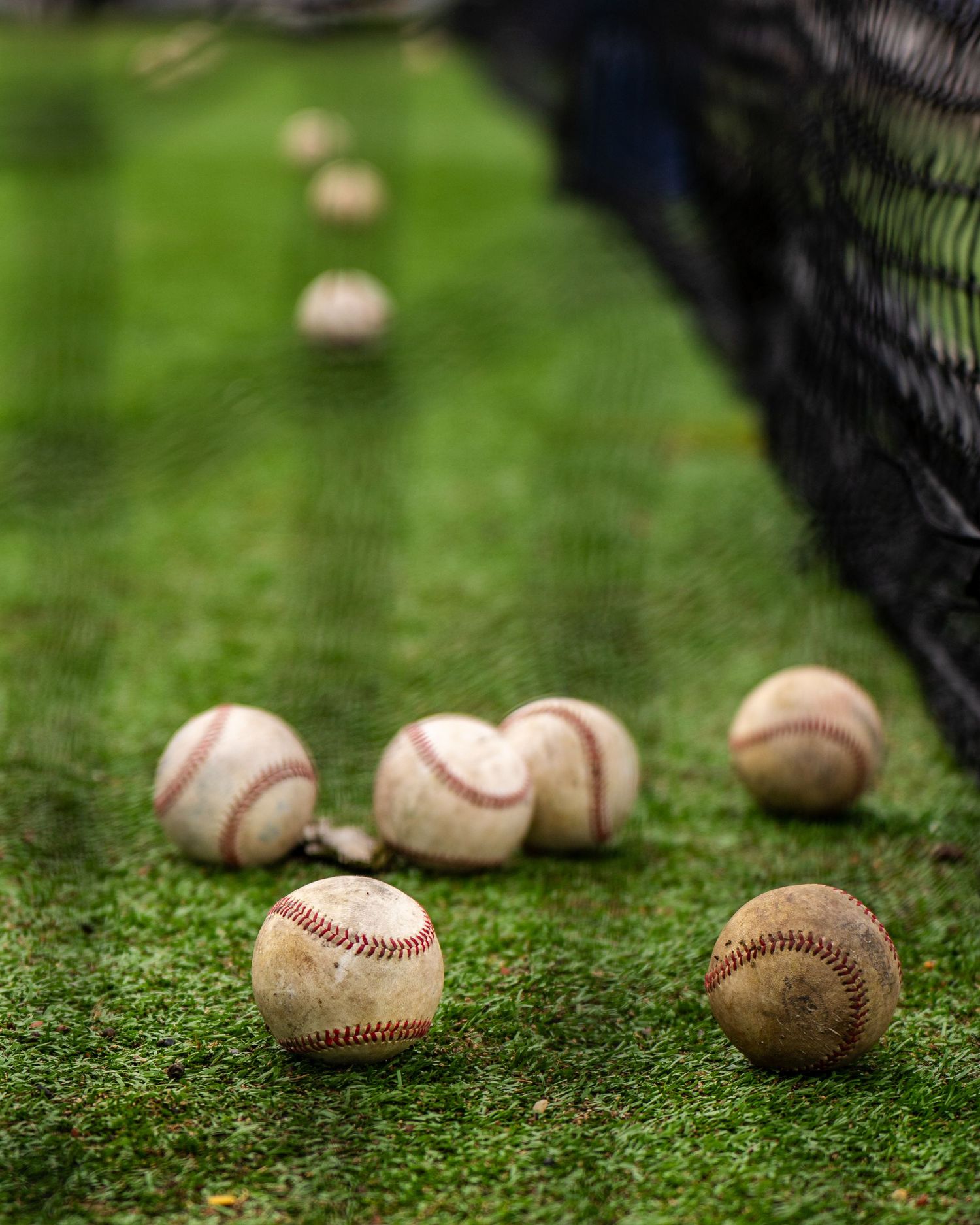 Old worn baseballs rest on grass near a black fence in a row, showing varying degrees of use and weathering.