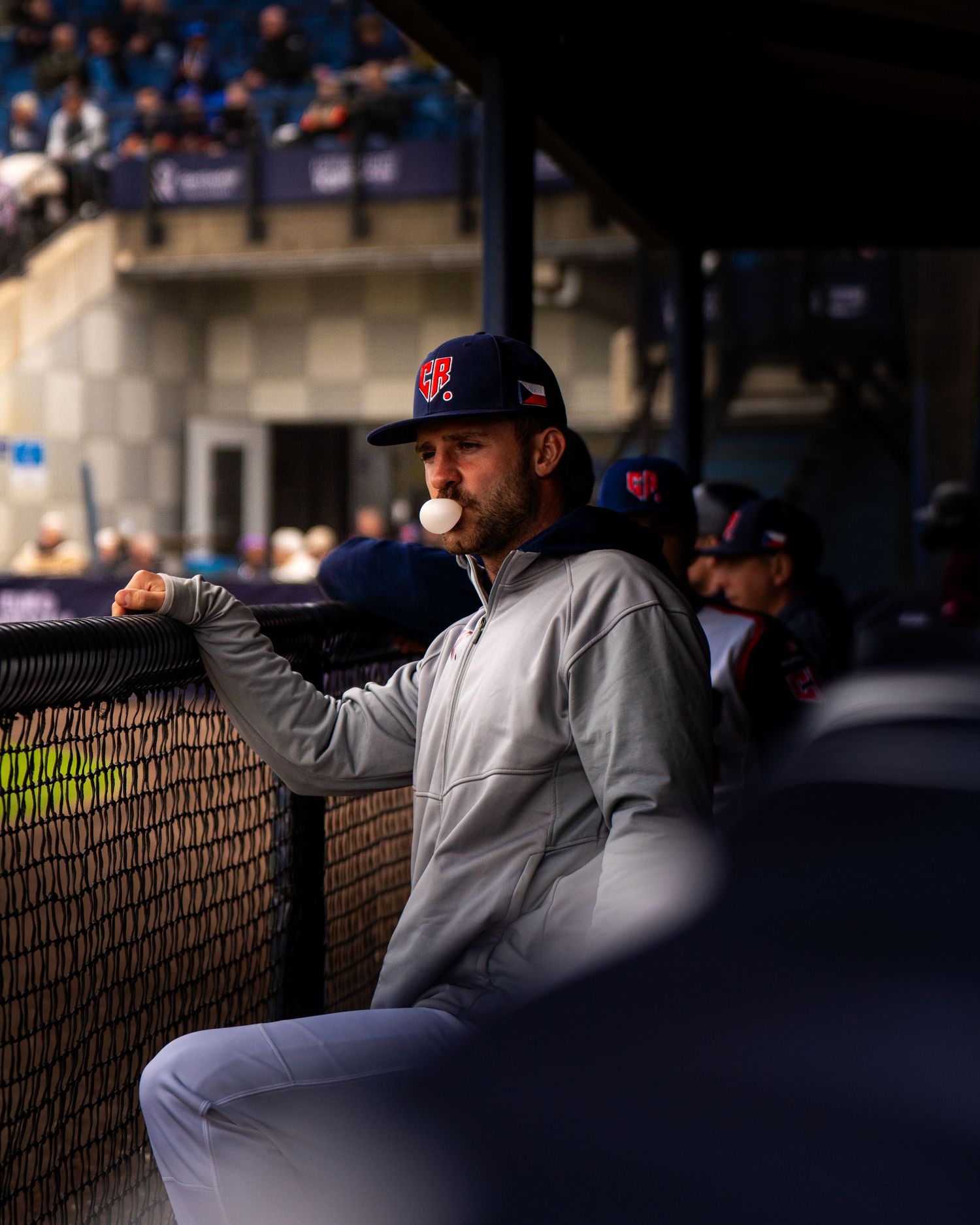 Baseball players in gray uniforms sit in the dugout during a game, watching intently from behind the fence.