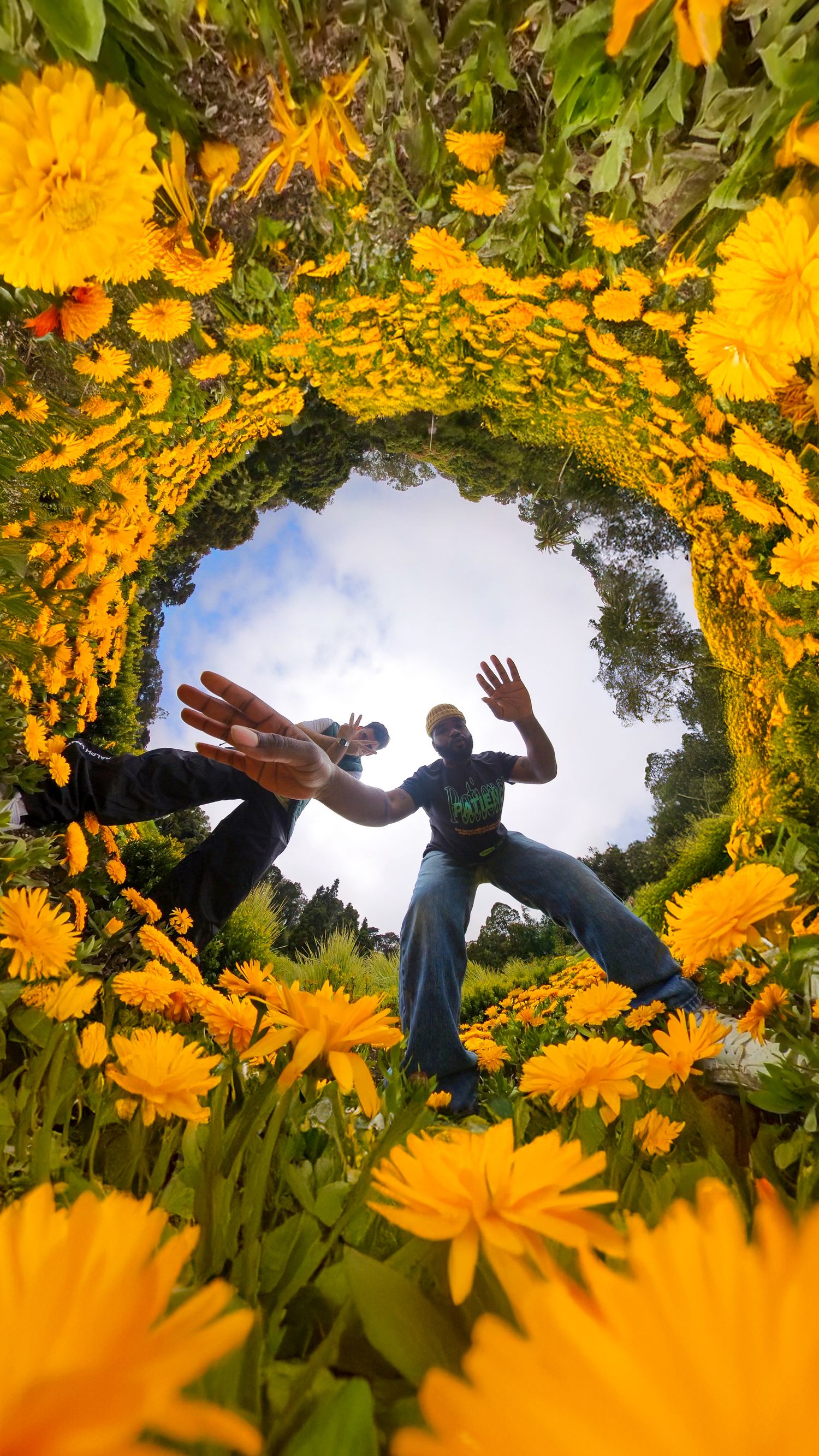 Creative photo shot at the Golden Gate Park in San Francisco, CA