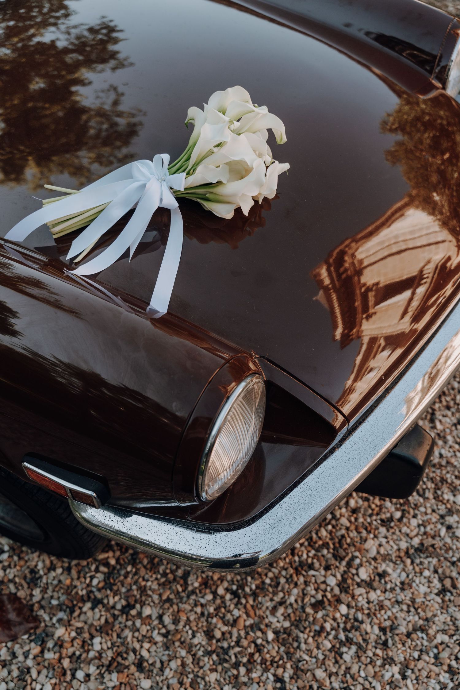 Detail shot of vintage black car decorated with white lilies and ribbons for wedding.