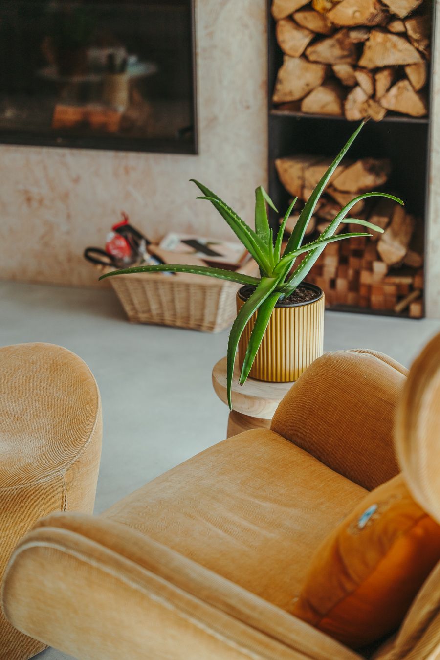 Cozy interior with wooden chairs and a potted plant against a wall with stacked firewood and decorative elements.