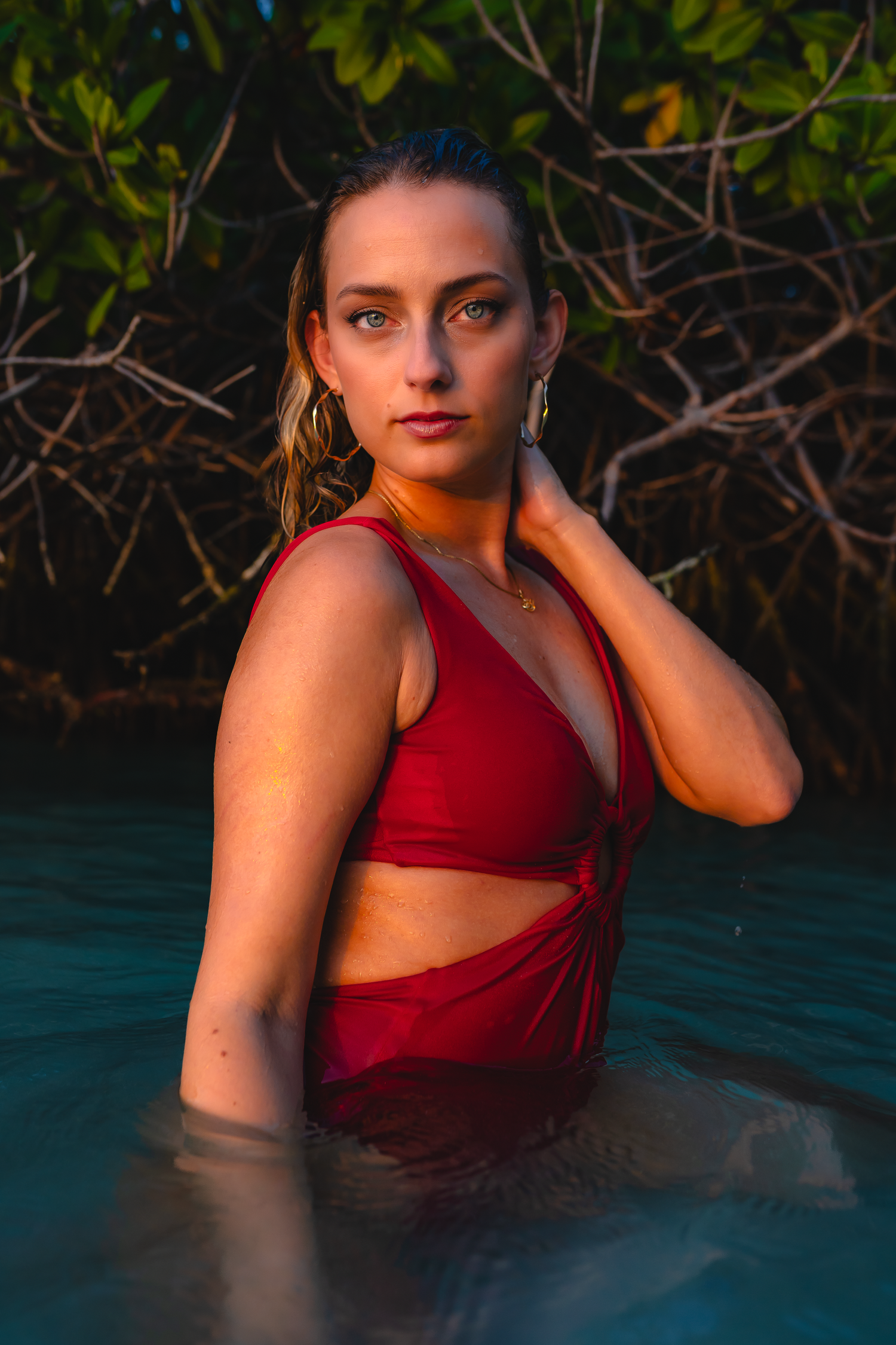 Solnedgångsfotografering i mangroveträsk med dramatiskt gyllene ljus