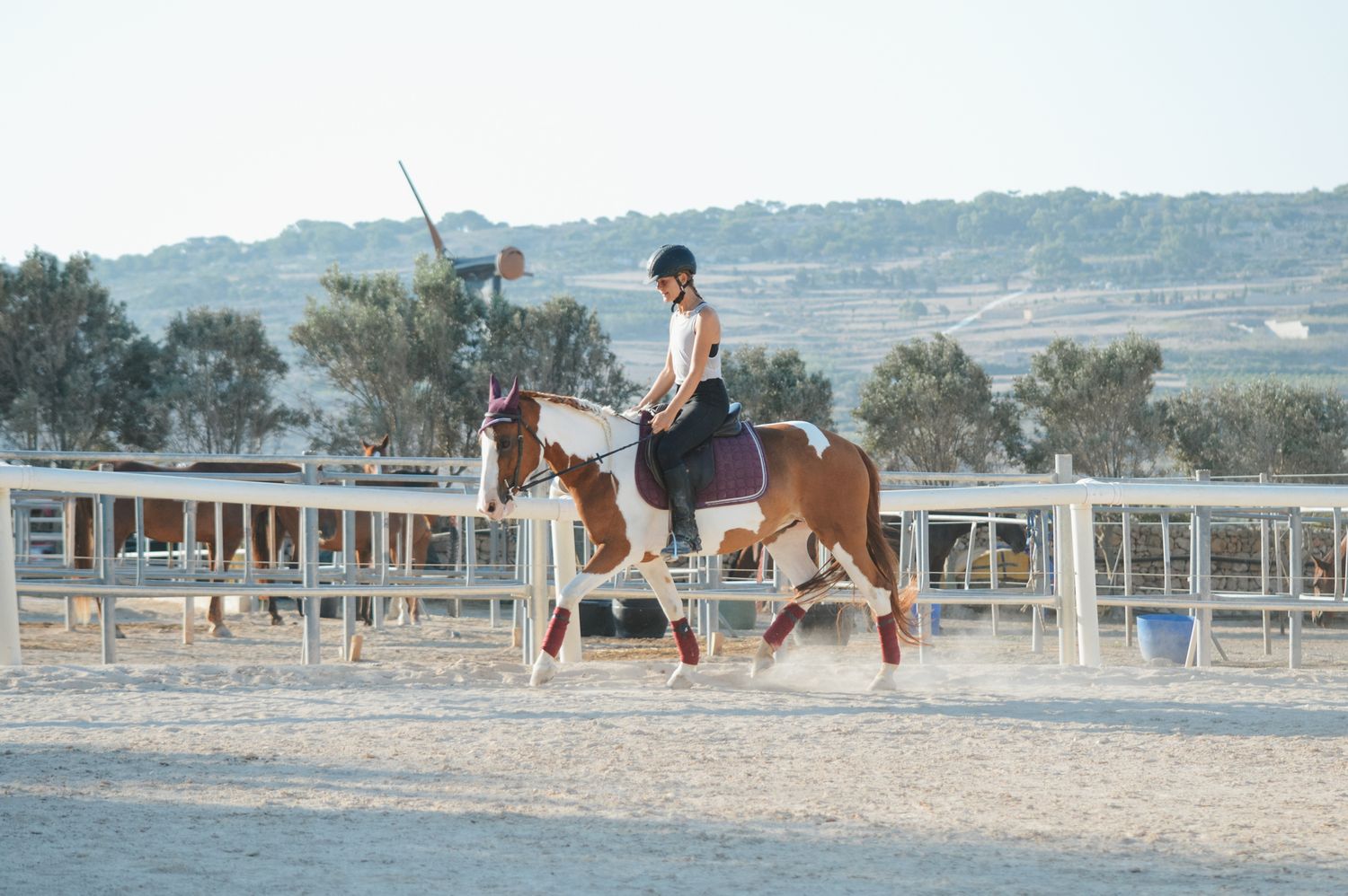 Rider on a chestnut pinto horse trotting in an outdoor sand arena during training.