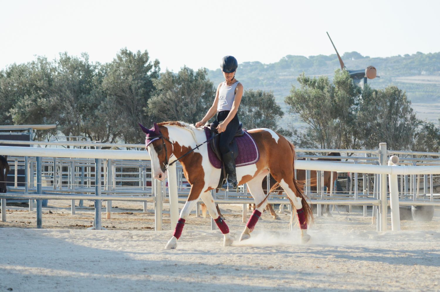 Horse and rider cantering energetically in a sandy outdoor arena with trees in background.