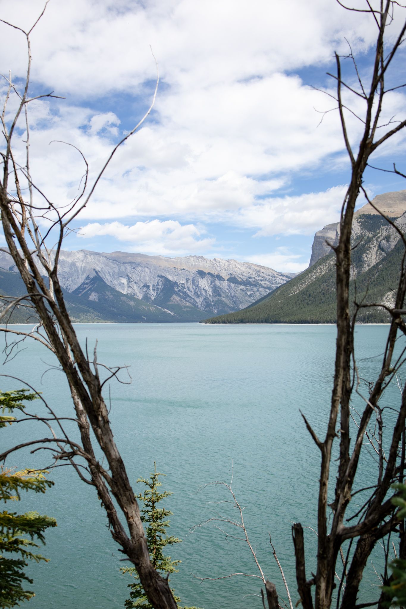 Scenic mountain lake view with turquoise waters and snow-capped peaks framed by bare tree branches.