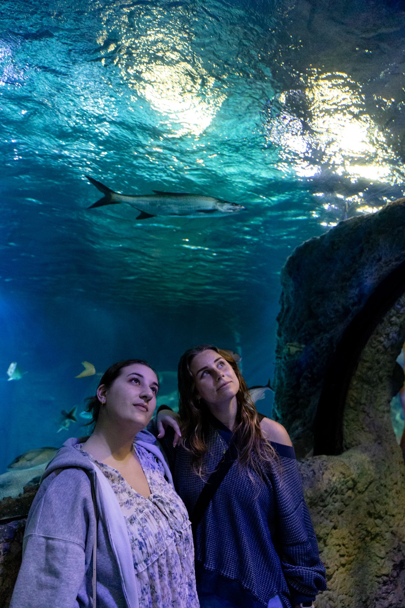 Two women look up in awe at sharks swimming in a glowing blue aquarium tunnel overhead.